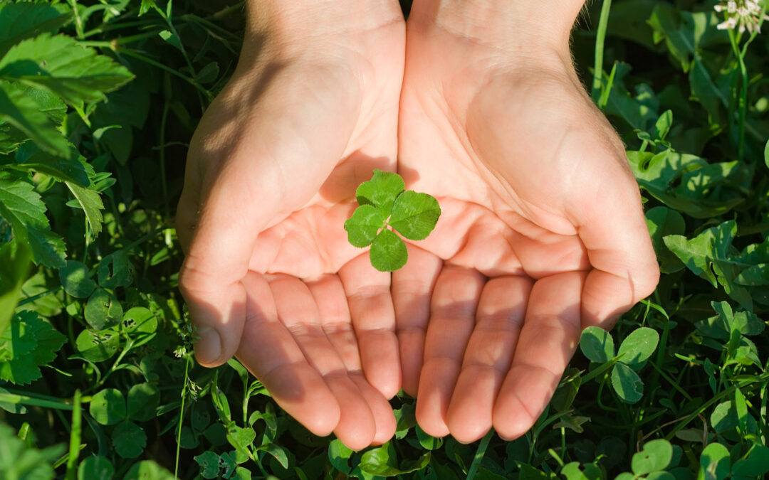 St. Patrick’s Day – An Innovative Marketing Campaign