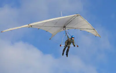 Early Adopters For Inventions
